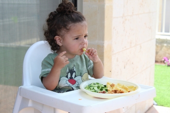 How much food should my toddler eat?