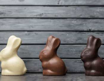 Chocolate rabbits