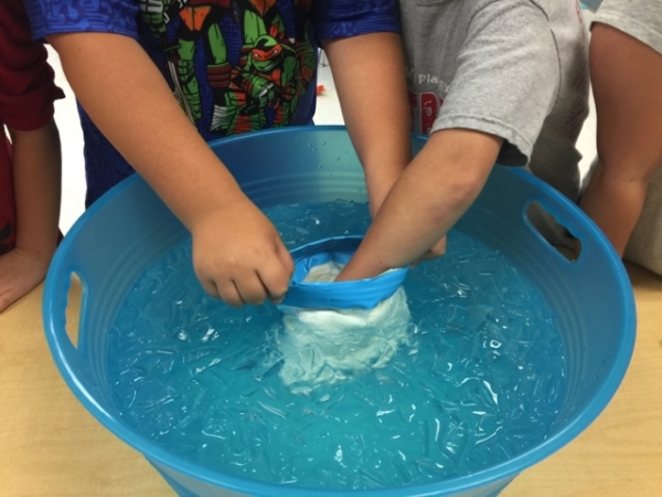 biology blubber experiment