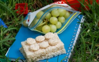 Lego sandwich