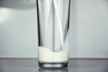Managing a cow's milk allergy