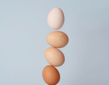egg activities