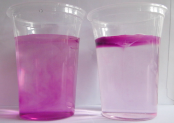 Floating coloured water experiment