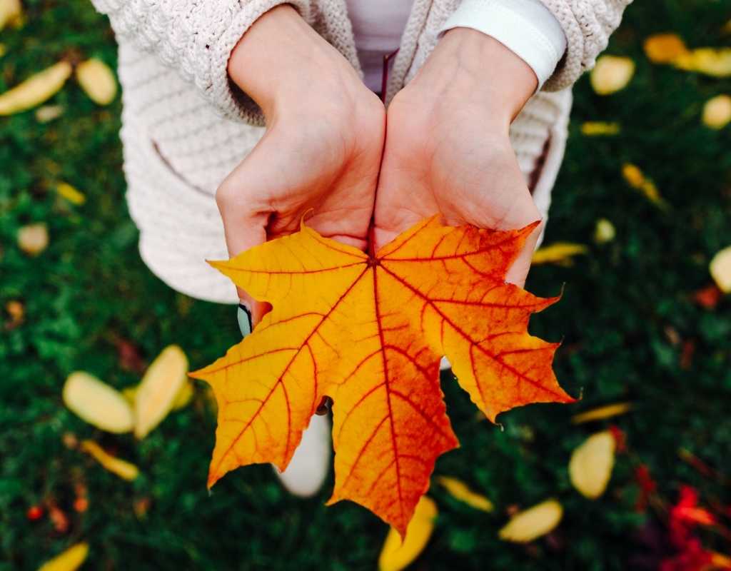 autumn leaves crafts