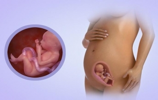 Your pregnancy at week 21