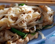 Asian chicken noodles