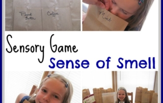 Sensory play smell game