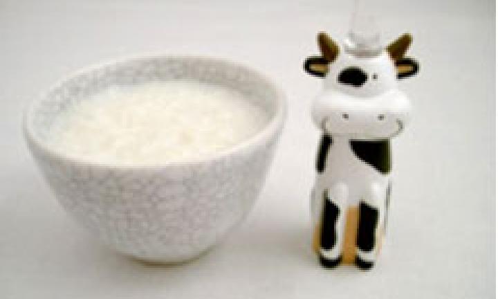 Babys rice pudding