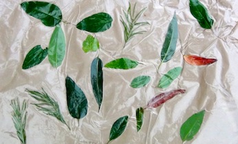 Simple no-glue leaf collage