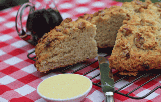 Perfect picnic recipes