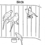 Pet colouring pages: Birds