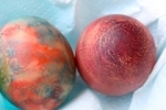 Dyed Easter eggs on Kidspot