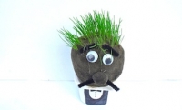 grass head