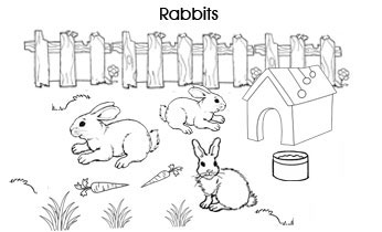 Pet colouring pages: Rabbits