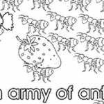 Collective nouns: An army of ants