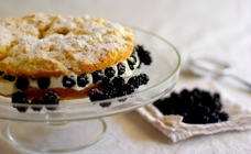 Blackberry shortcake