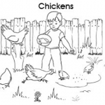 Pet colouring pages: Chickens