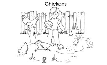 Pet colouring pages: Chickens
