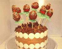 Flower pot birthday cake