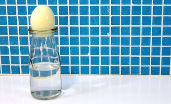 Egg in a bottle science experiment on Kidspot NZ