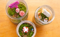 Make a fairy garden terrarium