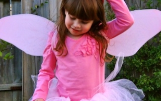 Fairy princess dress ups
