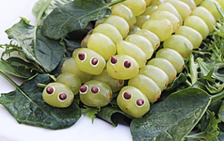 Grape caterpillars