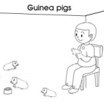 Pet colouring pages: Guinea pigs