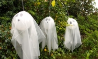 Spooky balloon ghosts on Kidspot