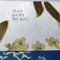Photocopied flower card