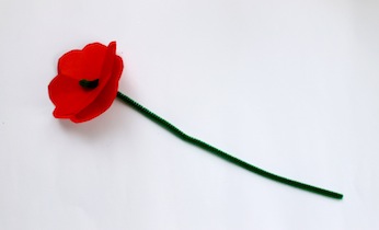 Red Poppy of Remembrance on Kidspot