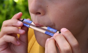 Homemade popsicle stick harmonica on Kidspot