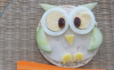 Rice cake owls