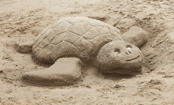 Make a sand turtle