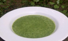 Creamy Spinach Soup Recipe