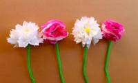 Tissue paper flowers on Kidspot