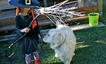 Homemade witch's costume on Kidspot