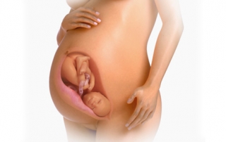 Fetal Development Week 39
