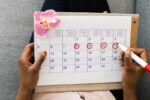 menstrual cycle fertile phase