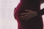 Pregnancy timeline