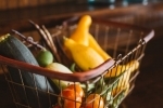 pregnancy vegetarian diet