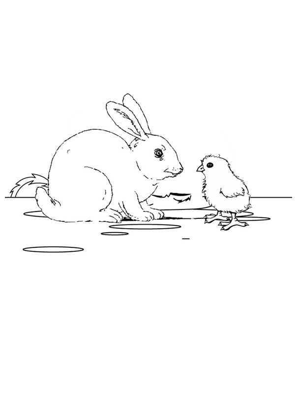 chick and rabbit colouring page