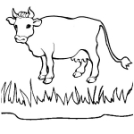 cow colouring page