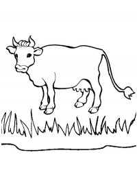 cow colouring page