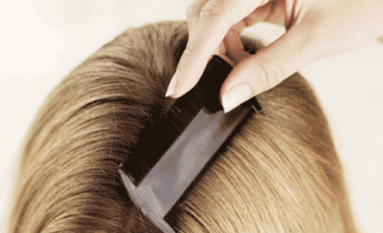 head lice comb