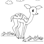 deer colouring page