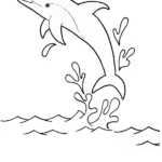 dolphin colouring page