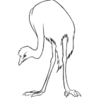 Emu colouring page