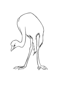 Emu colouring page