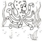 octopus colouring page